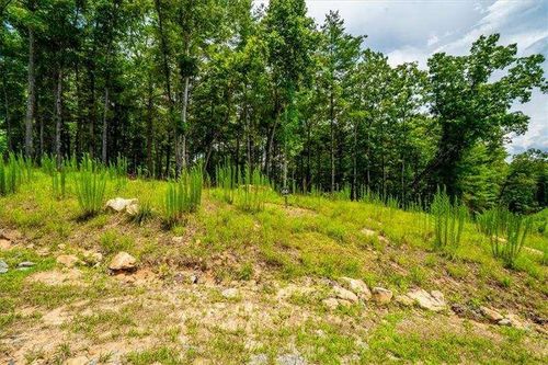 0 Ridge St, Morganton, GA, 30560 | Card Image