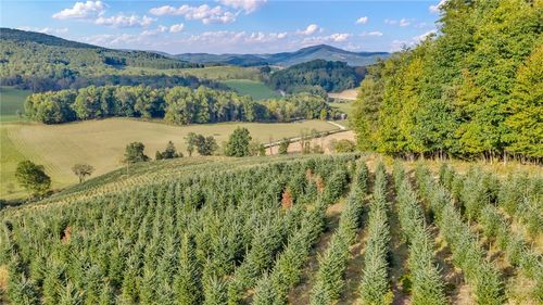 TBD 75A Low Gap, Troutdale, VA, 24378 | Card Image