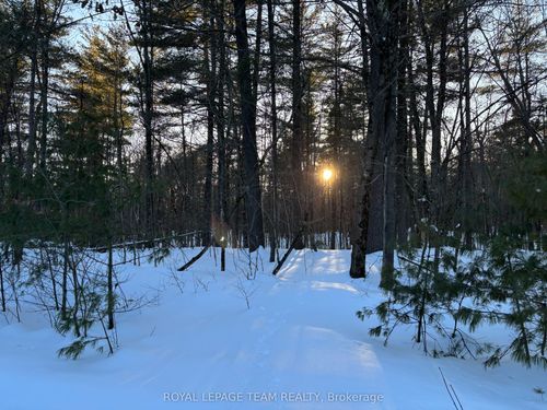 70 Adam Ben Lane, Calabogie, ON, K0J1H0 | Card Image