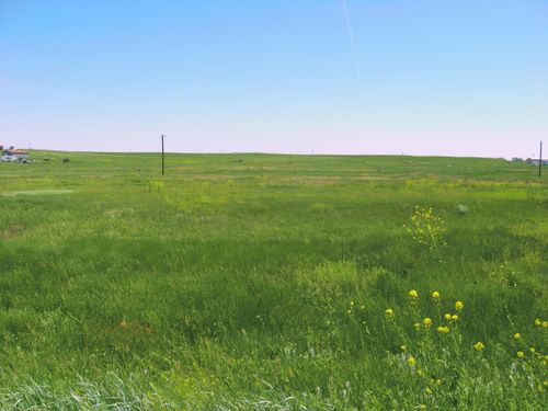 Lot 58 Gobbler Ln, Smithwick, SD, 57782 | Card Image