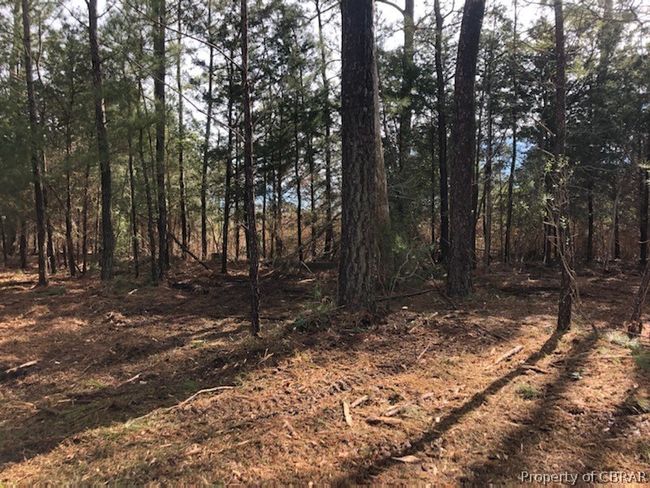 lot 2 Potato Neck Road, Home with 0 bedrooms, 0 bathrooms and null parking in Port Haywood VA | Image 5