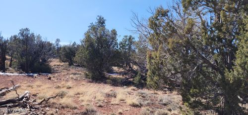 261 Juniperwood Rnch, Ash Fork, AZ, 86320 | Card Image