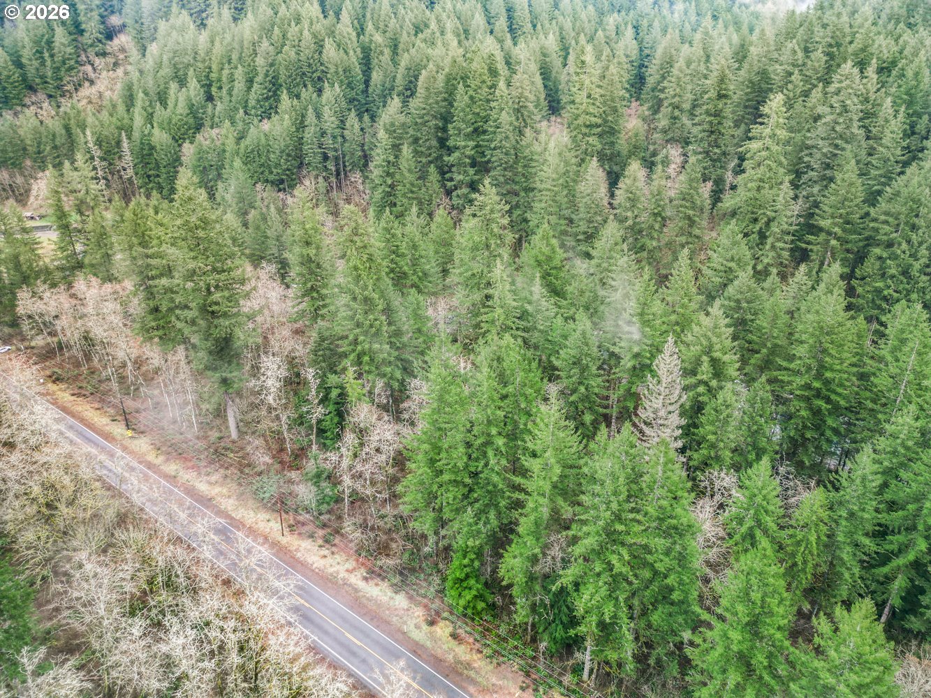 Land in Washougal 5