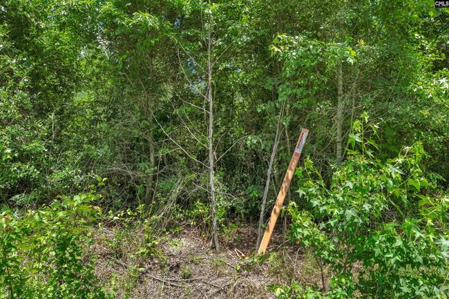 0000 N Brewington Rd, Home with 0 bedrooms, 0 bathrooms and null parking in Manning SC | Image 75