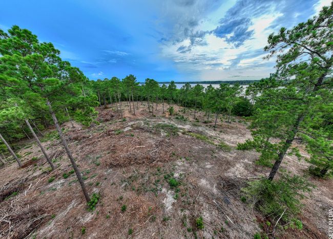 123 Fm 83, Home with 0 bedrooms, 0 bathrooms and null parking in Broaddus TX | Image 13