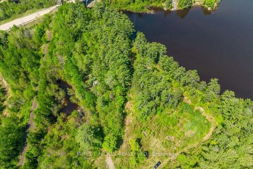 0 Trapper'S Rd, Bissett Creek, ON, K0J1E0 | Card Image