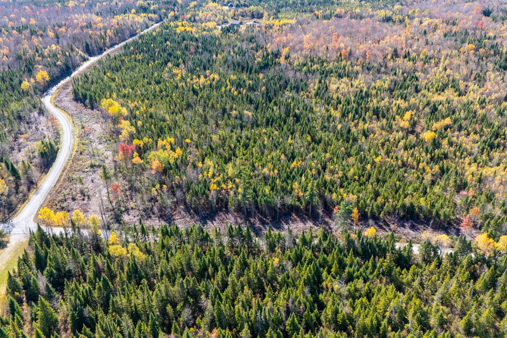 Land in Sainte-Cécile-de-Whitton 2