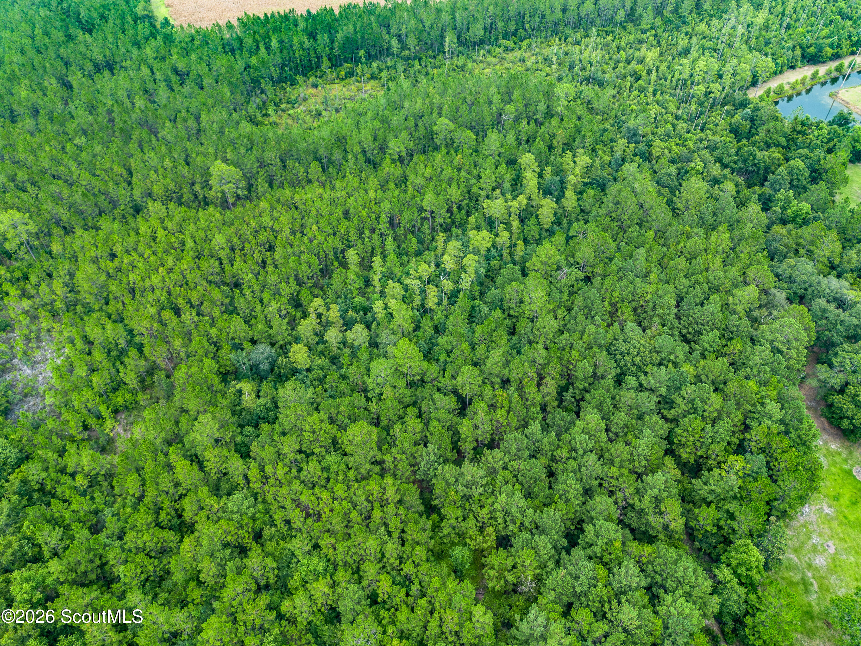 Land in Waycross 2