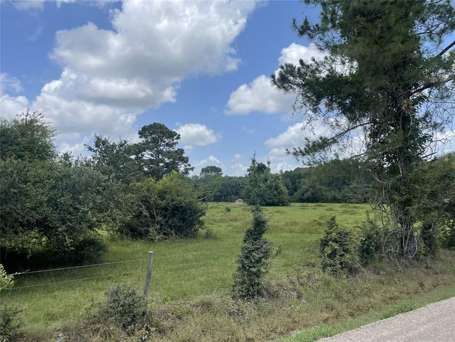 0 Davis Bend Rd, Home with 0 bedrooms, 0 bathrooms and null parking in Alvin TX | Image 15