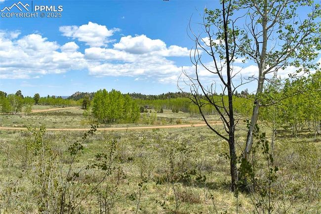 130 Eleven Mile State Park, Home with 0 bedrooms, 0 bathrooms and null parking in Lake George CO | Image 8