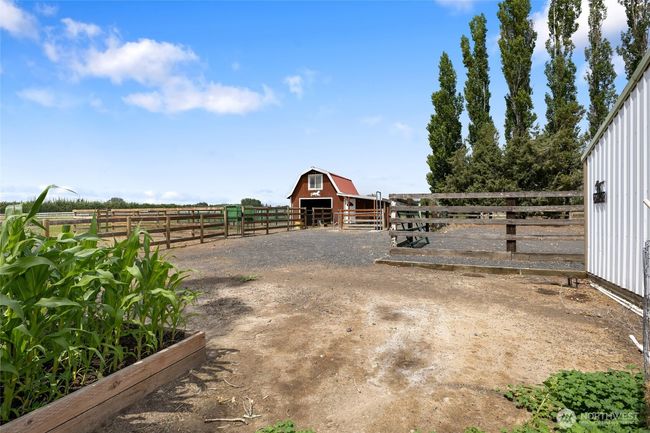 Small arena and barn with tack room. 2 automatic waters and wash rack station. | Image 29