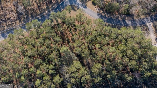 V/L 48 Sanctuary Cove No Street Suffix, Home with 0 bedrooms, 0 bathrooms and null parking in Waverly GA | Image 9