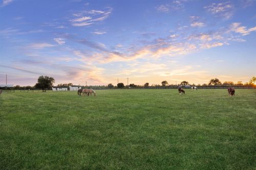 40570 Wildlife Run, Hempstead, TX, 77445-3881 | Card Image