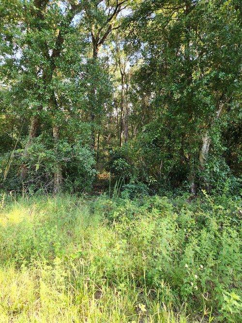 TBD Nw 168th Ln, Trenton, FL, 32693 | Card Image