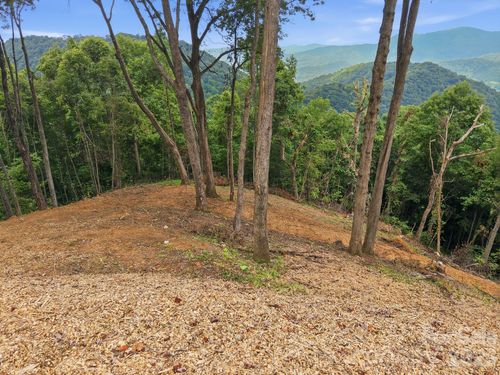 79-99999 Davidson Gap Rd, Leicester, NC, 28748 | Card Image