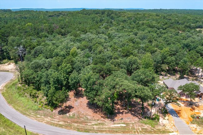 3109 Shadow Pine Dr, Home with 0 bedrooms, 0 bathrooms and null parking in Larue TX | Image 5