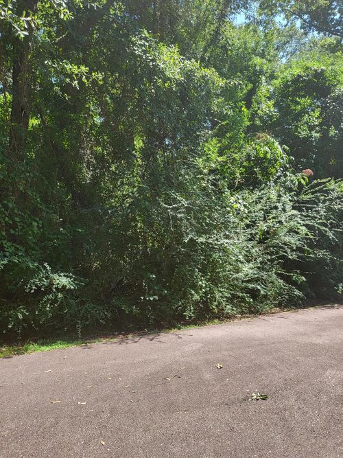 Lot #1047 Edgewood Cir., Carriere, MS, 39426 | Card Image