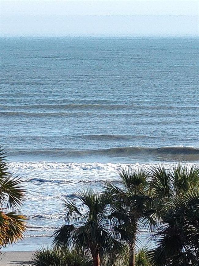 APT-630 - 5220 Seawall Blvd, Condo with 1 bedrooms, 2 bathrooms and null parking in Galveston TX | Image 7