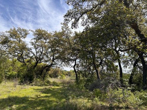 207 Liberty Oaks Blvd, Belton, TX, 76513 | Card Image