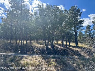 152 Twin Tree Loop, Home with 0 bedrooms, 0 bathrooms and null parking in Alto NM | Image 3