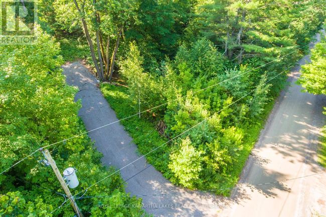 Lt 33 Benson Blvd, Home with 0 bedrooms, 0 bathrooms and null parking in Coboconk ON | Image 18
