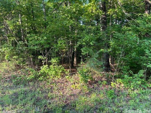 910 Lynwood Ave, Horseshoe Bend, AR, 72512-3935 | Card Image
