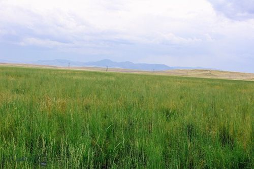 Muddy Creek Ranch, Cascade, MT, 59421 | Card Image