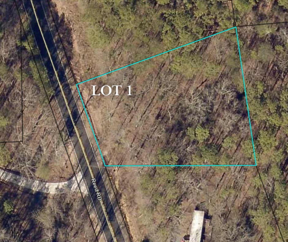 Land in Dalton 2