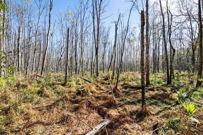 HFL_OSBORNE TRACT-32 | Image 33