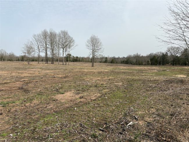 TRACT-3 - TBD County Road 2425, Home with 0 bedrooms, 0 bathrooms and null parking in Como TX | Image 11