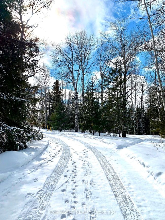975140 Silver Centre Rd, House other with 4 bedrooms, 2 bathrooms and 10 parking in North Cobalt ON | Image 40