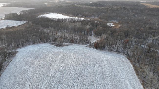 DJI_20241211150126_0387_D.JPG | Image 23