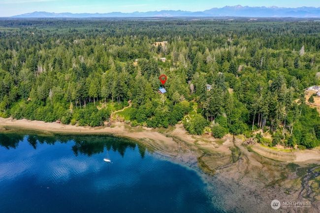 A true salt waterfront oasis with frequent orca sightings! | Image 28