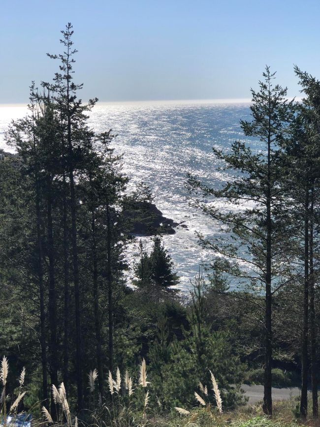 Kelley View SW blow hole 148-23 | Image 5