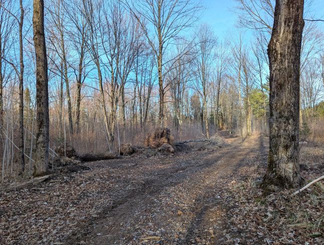 00 Cth X, Home with 0 bedrooms, 0 bathrooms and null parking in PRENTICE WI | Image 35
