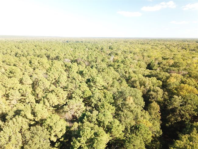 9795 S Us Highway 59, Home with 0 bedrooms, 0 bathrooms and null parking in Nacogdoches TX | Image 30