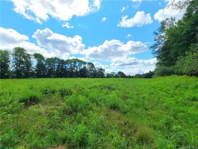 View of nature, field | Image 3