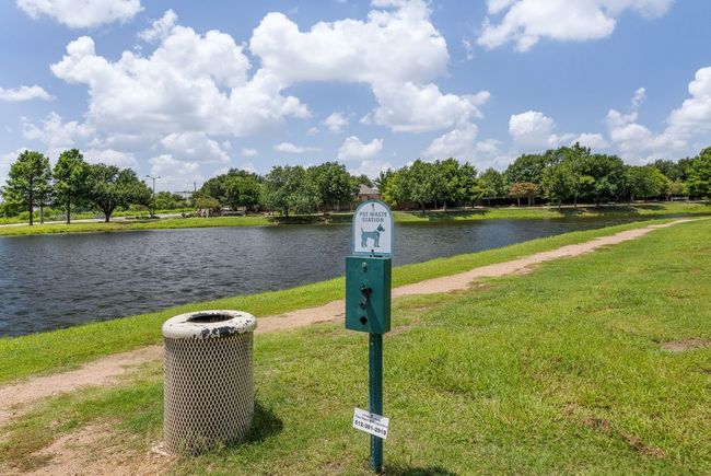 You'll love taking your dogs for a walk. | Image 37