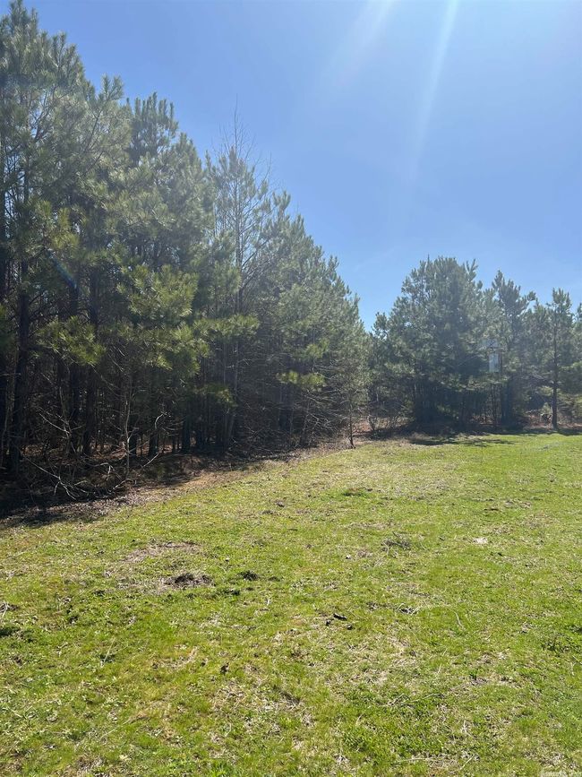 00 Nevada County 175 Road, Home with 0 bedrooms, 0 bathrooms and null parking in Rosston AR | Image 21