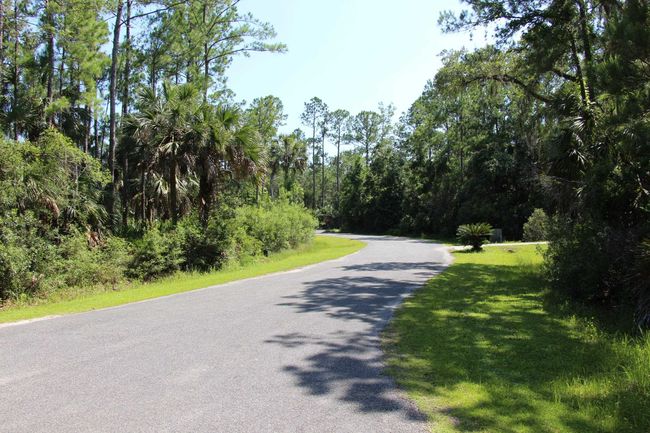 1 Hobbs Way, Home with 0 bedrooms, 0 bathrooms and null parking in ST MARKS FL | Image 15