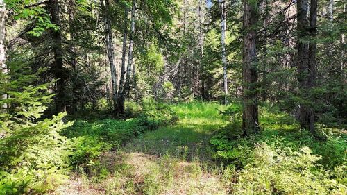 238 Rustic Rd, Cusick, WA, 99119 | Card Image