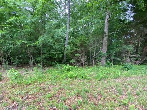 0 Red Bud Cir, Big Sandy, TN, 38221 | Card Image