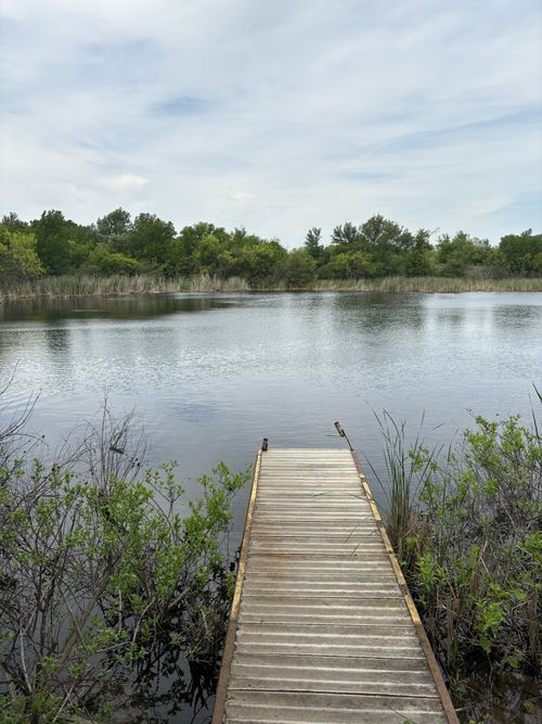 TBD Causway Rd, Jacksboro, TX, 76458 | Card Image