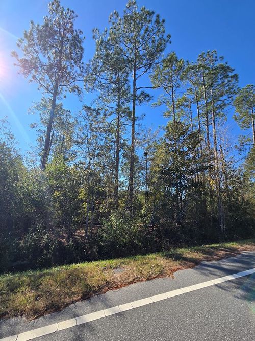 Lot 31 Doc Whitfield Rd, Wewahitchka, FL, 32465 | Card Image