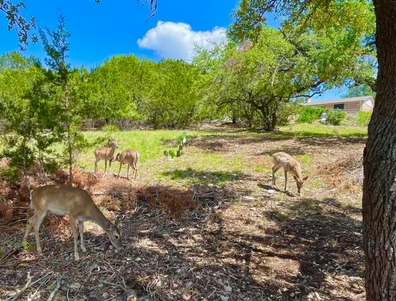 Land in Lago Vista 3