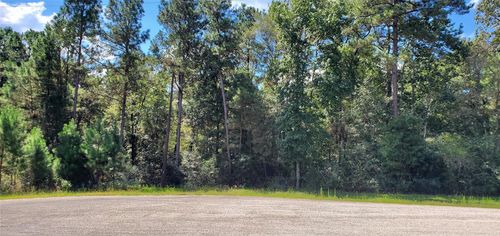N/A Cougar Ct, Huntsville, TX, 77340 | Card Image