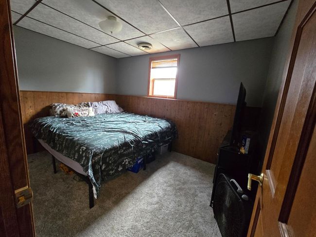 Lower level bedroom with new carpet | Image 9