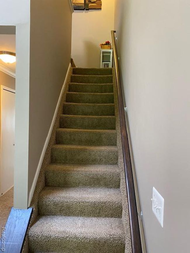 IMG_3773.jpg | Image 33