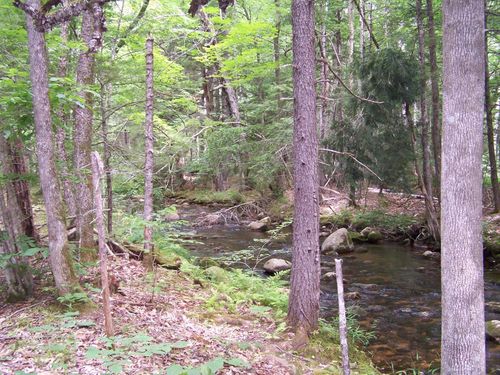 0 Brown Hill Rd, Tamworth, NH, 03886 | Card Image