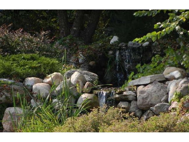 Pretty landscaping throughout the park | Image 10